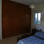 Dioni 코럴베이